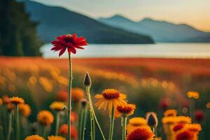 a red flower stands out in front of a field of flowers. AI-Generated photo