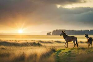 two deer are walking in the grass at sunset. AI-Generated photo