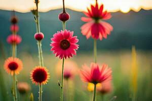 rosado flores en un campo a puesta de sol. generado por ai foto