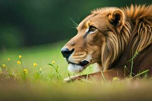 a lion is sitting in the grass with yellow flowers. AI-Generated photo