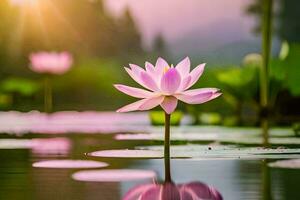 pink lotus flower in the water with lily pads. AI-Generated photo