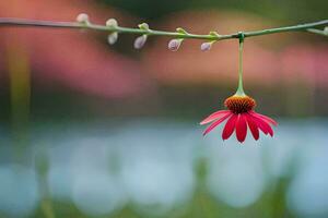 a red flower hanging from a stem. AI-Generated photo