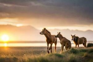 three horses are walking along the beach at sunset. AI-Generated photo