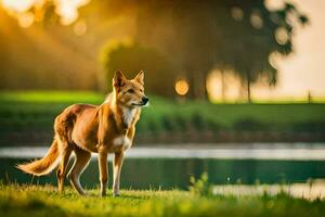 a dog stands in the grass at sunset. AI-Generated photo