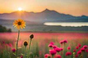 a field of flowers with a sunset in the background. AI-Generated photo