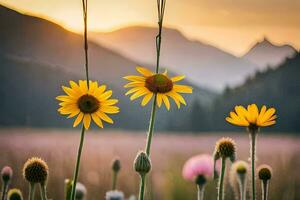 sunflowers in the mountains at sunset. AI-Generated photo