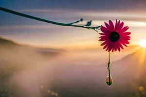 a single pink flower is hanging from a branch at sunset. AI-Generated photo