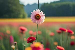 un rosado flor soportes en el medio de un campo. generado por ai foto