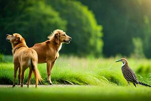 dos perros y un pájaro en pie en un campo. generado por ai foto