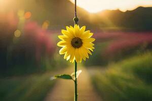 a single sunflower is standing in the middle of a field. AI-Generated photo