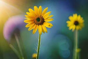 sunflower, the sun, the sunflower, flowers, the sun, the sunflower,. AI-Generated photo