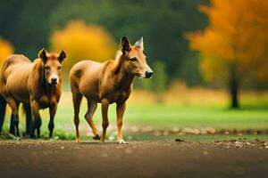 dos caballos son caminando en el campo. generado por ai foto