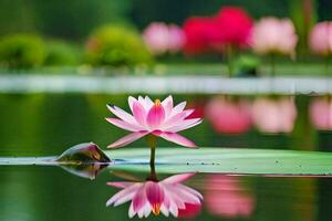 a pink lotus flower is floating in a pond. AI-Generated photo