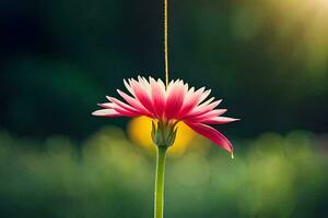 a pink flower is hanging from a string. AI-Generated photo