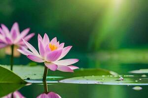 two pink lotus flowers are floating in the water. AI-Generated photo