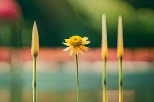 a single yellow flower stands out from the rest of the stems. AI-Generated photo