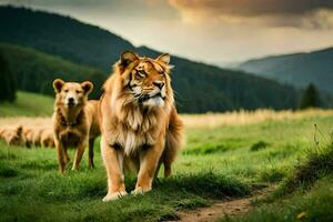 dos leones caminando en el césped. generado por ai foto