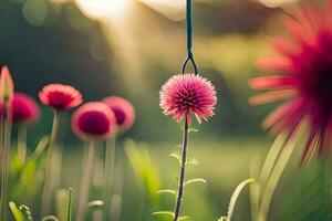 pink flowers in the sun with a green background. AI-Generated photo