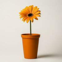 Flowers in pot on white background AI Generative photo