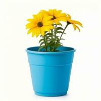 Flowers in pot on white background AI Generative photo