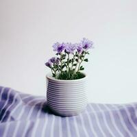 Flowers in pot on white background AI Generative photo