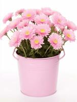 Flowers in pot on white background AI Generative photo
