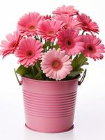 Flowers in pot on white background AI Generative photo