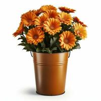 Flowers in pot on white background AI Generative photo