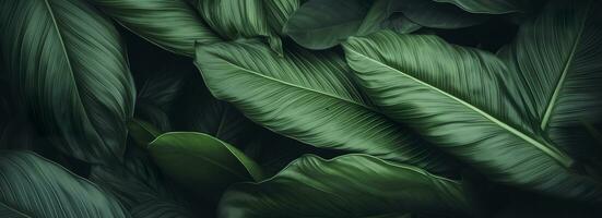 Abstract green leaf texture with nature background, tropical leaf. Generative AI photo