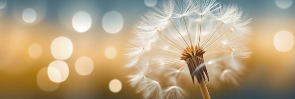 Abstract blurred nature background dandelion seeds parachute. Bokeh pattern. Generative AI photo