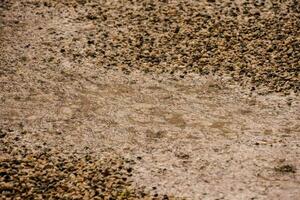 a close up of a dirt road with gravel photo