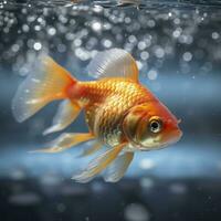 Beautifully colored goldfish swim in the clear aquarium water. 3d animation swimming goldfish.  AI Generative photo