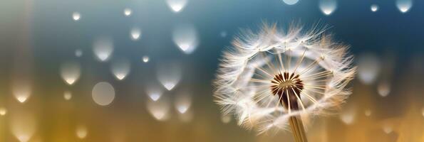 Abstract blurred nature background dandelion seeds parachute. Bokeh pattern. Generative AI photo