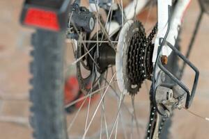 A bicycle wheel stops in a park. Bicycle for exercise. closeup, copy space on right for design or content. Blurred background photo