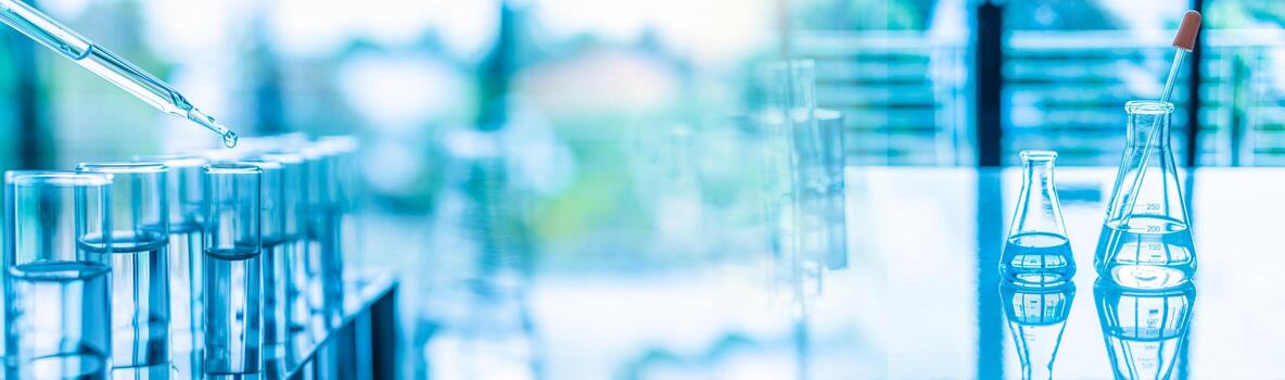 química experimentar concepto en Ciencias laboratorio dos Ciencias matraces de diferente tamaños Contiene diferente productos quimicos el productos quimicos son en muchos vaso tubos ese son metido en el mesa y borroso. foto