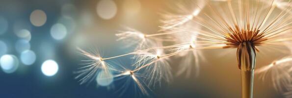 Abstract blurred nature background dandelion seeds parachute. Bokeh pattern. Generative AI photo