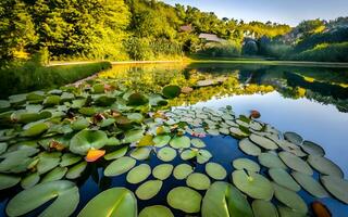 Tranquil Oasis, A Visual Symphony of Serenity in a Lily Pad-Blanketed Pond. AI Generated photo