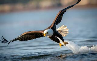 maestro majestad, un asombroso vislumbrar de el calvo águila dominante vuelo. ai generado foto