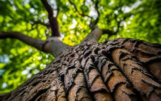 arbóreo tapiz, un macro viaje mediante el intrincado texturas de árbol ladrar. ai generado foto