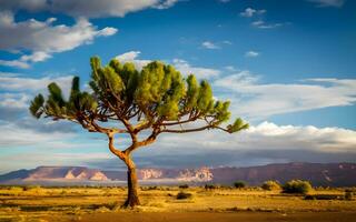 solitario centinela, un cautivador retrato de un solitario árbol en medio de el expansivo abrazo de el Desierto desierto. ai generado foto