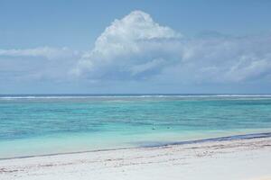 Paradise beach with white sand and palms. Diani Beach at Indian ocean surroundings of Mombasa, Kenya. Landscape photo exotic beach in Africa