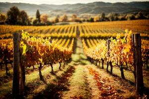 French Italian Autumnal Vineyard Scenery. Commercial appeal. Ample text space. AI Generative photo