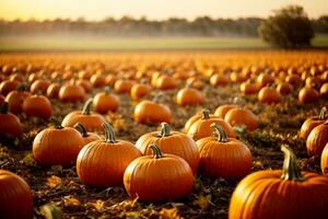 Lovely Serene Autumnal Pumpkin Patch. Commercial appeal. Ample text space. AI Generative photo