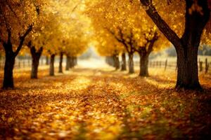 Lovely Autum Orchard Scenery. Commercial Appeal. Ample text space. AI Generative photo