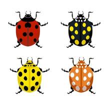 mariquita. insectos naturaleza loco ilustraciones de dibujos animados rojo, amarillo y negro mariquitas vector