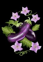 Eggplant and Flower Vector