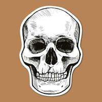 Sticker with hand drawn human skull. Vector graphic illustration.