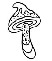 Mystical, magic mushroom. Psychedelic hallucination. Witchy esoteric objects. 60s, 70s trippy hippie art vector