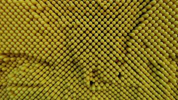 Beautiful pattern of yellow dot on pin screen. Texture background. photo