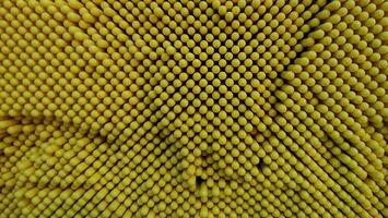Beautiful pattern of yellow dot on pin screen. Texture background. photo